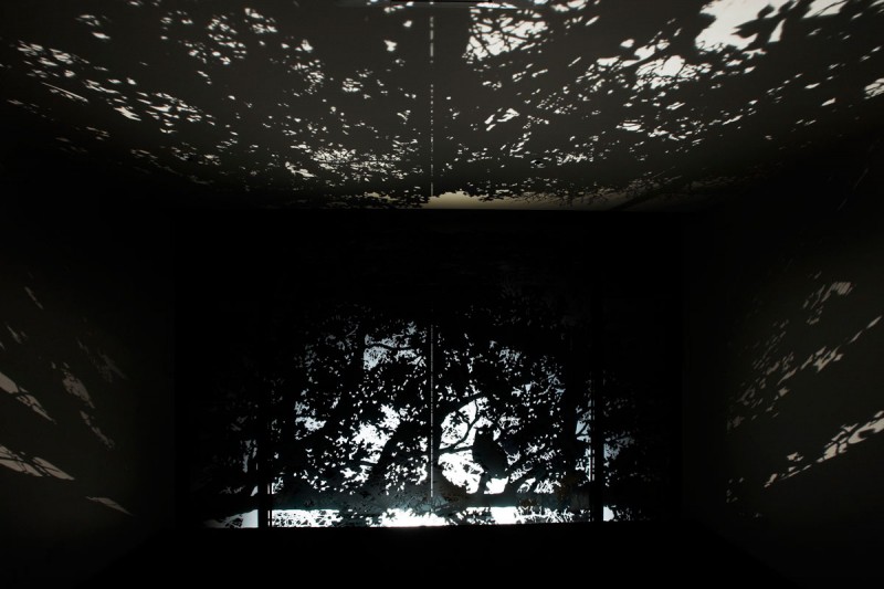 Treetop-House-05